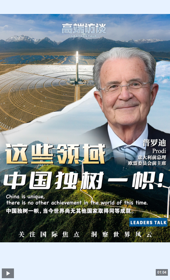 “在这些领域 中国独树一帜”