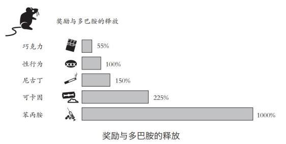 刷手机停不下来？如何拯救失控的大脑 快乐与痛苦的天平失衡