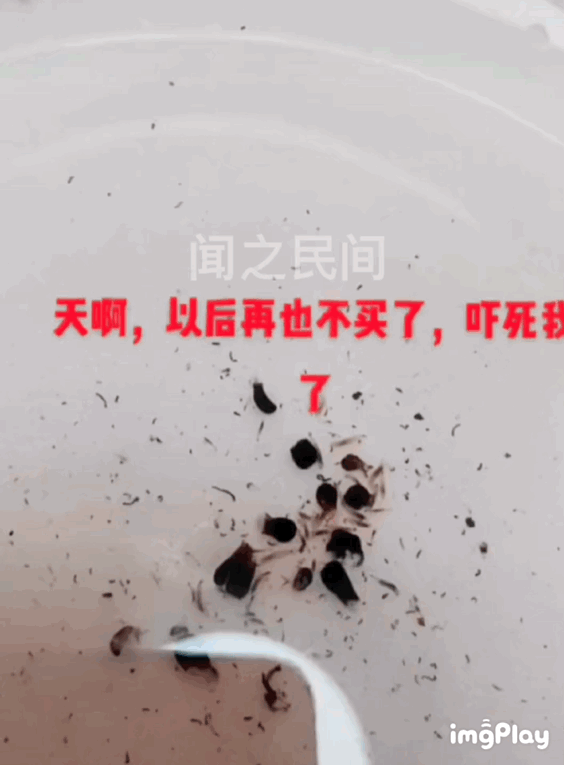 女子稱桑葚放冰箱第二天爬出巨多蟲子,？泡鹽水，小蘇打基本無效