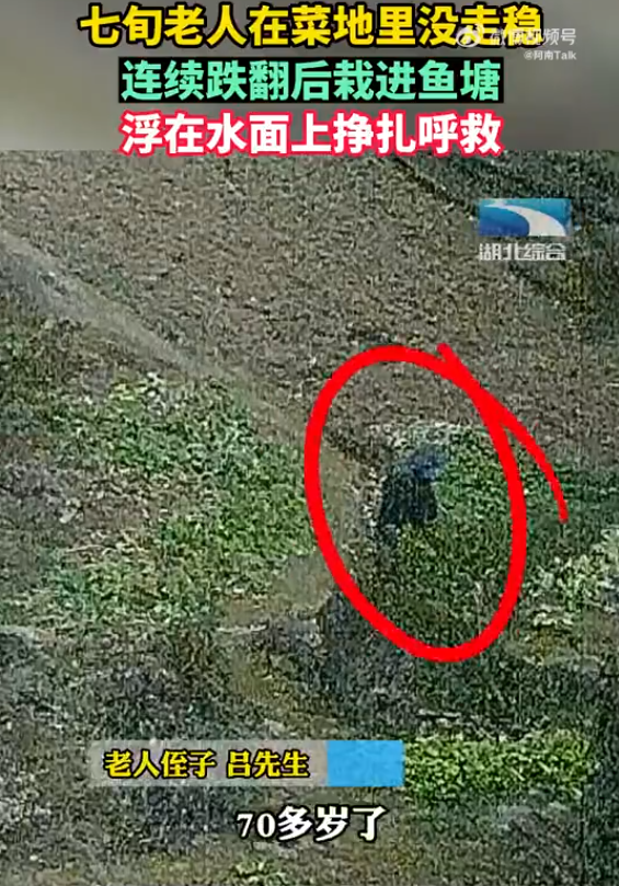 七旬老人阳了没走稳掉进鱼塘被救起