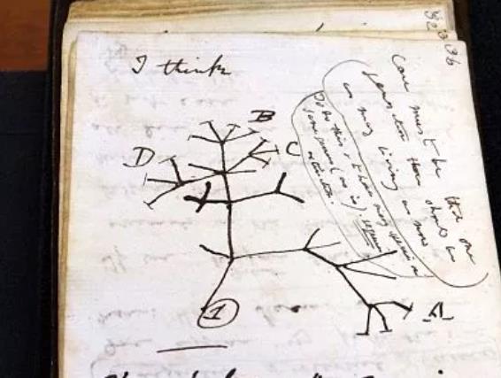 达尔文笔记失窃21年后被匿名归还 内含“生命之树”草图