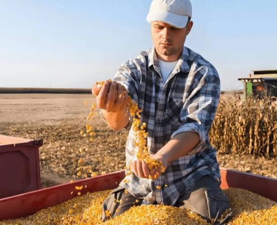 美财长打卡空军一号 中美经贸初步共识达成