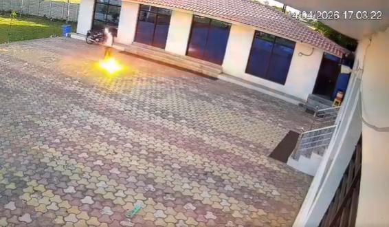 印度一男子驱赶猴子触电身亡 高压电线引发悲剧