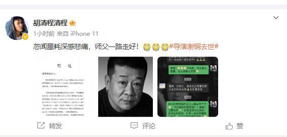 导演谢铜胰腺癌去世 代表作有《高天厚土》《乒乓小子》