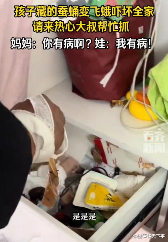 孩子因不忍心吃蚕蛹藏妈妈床头柜 惊喜变惊吓