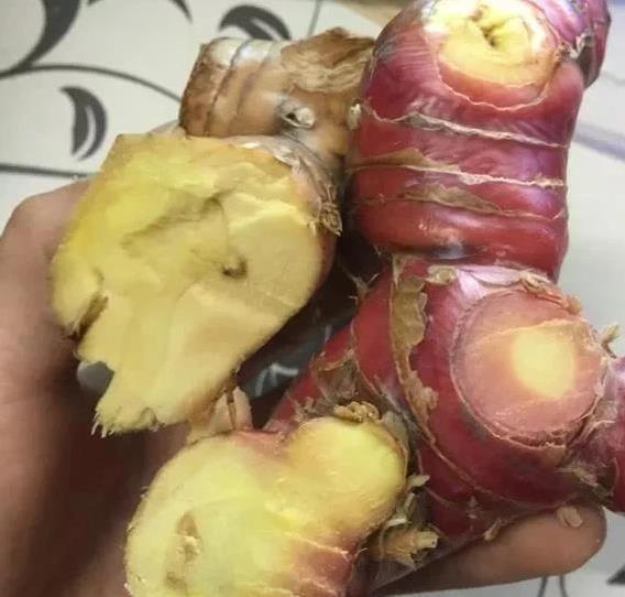 羊肉汤膻味难喝？加“1红1黑”秒变奶白香浓，鲜到停不下来