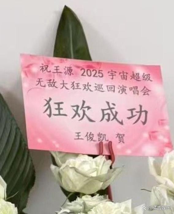 王源演唱会 兄弟情深引发热议