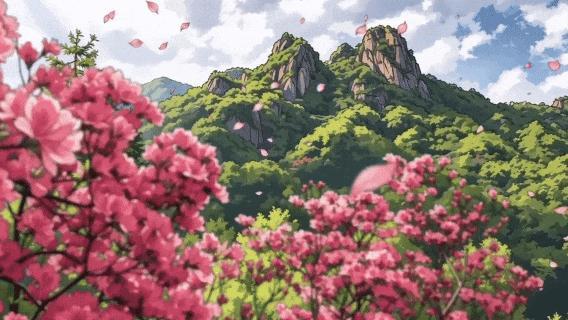 汝阳西泰山杜鹃花海霸屏指南