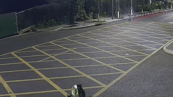 民警办完盗窃案发现外卖被狗偷走 加班遇“狗贼”