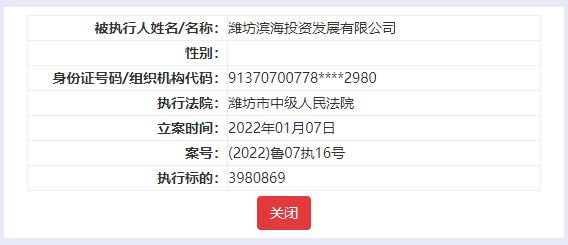 潍坊滨海投资发展有限公司被法院列为被执行人