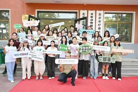 首都爱护动物协会举办第29届领养开放日，演员金晨爱心公益项目同步启动
