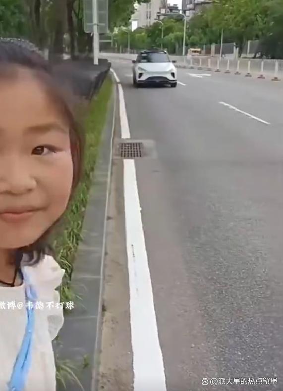 中国小女孩打车视频在国外爆火