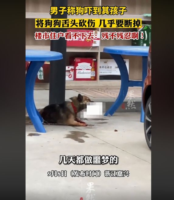 男子割伤狗舌头称其吓到自己小孩 遭指责后回怼：我再砍它两刀！