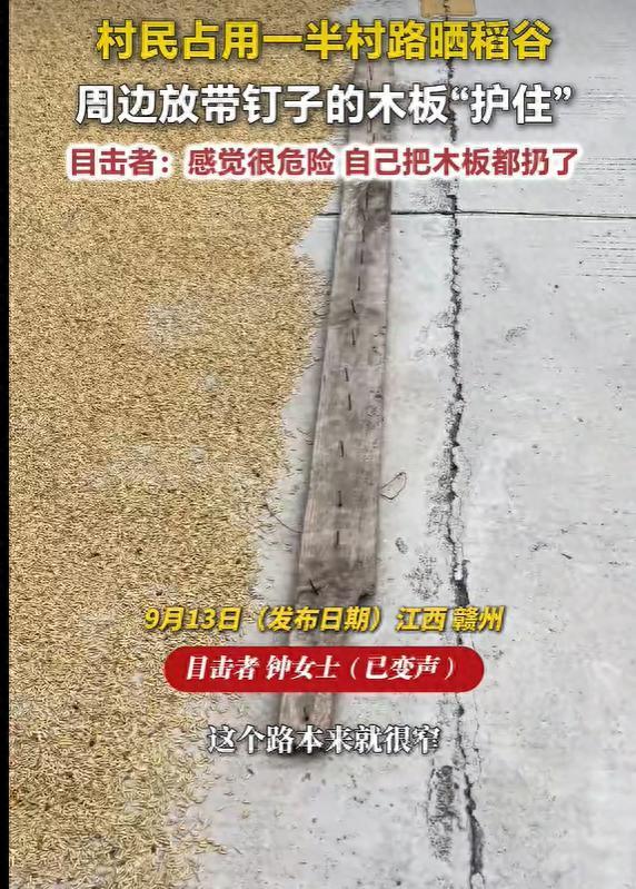 村民占用村路晒稻谷 还放带钉子木板
