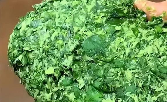 地瓜叶逆袭成宝藏菜！三招做法超下饭，你家餐桌缺了啥？