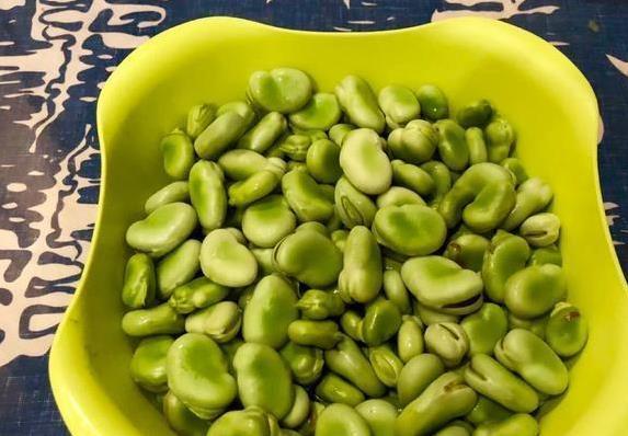 蚕豆炒一盘香翻全家，简单做法藏大秘密，你家这样吃过吗？