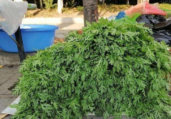 晚上睡不着？试试这3种食物，简单好吃还助眠
