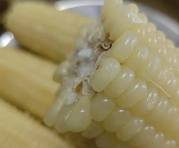 甜玉米清甜低热量，糯玉米却藏高热量？3个真相让你吃对