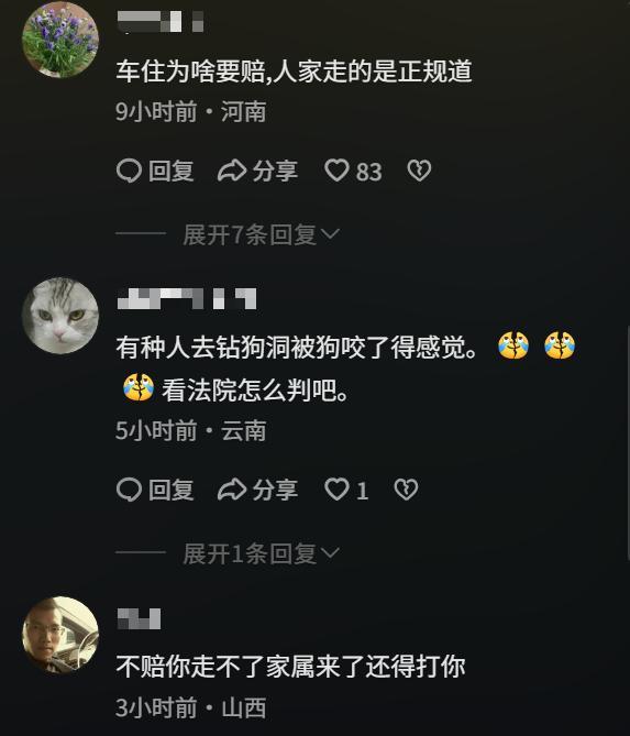 女子从车辆出口穿行被抬起杆头碰伤 无视警示反索赔引发争议