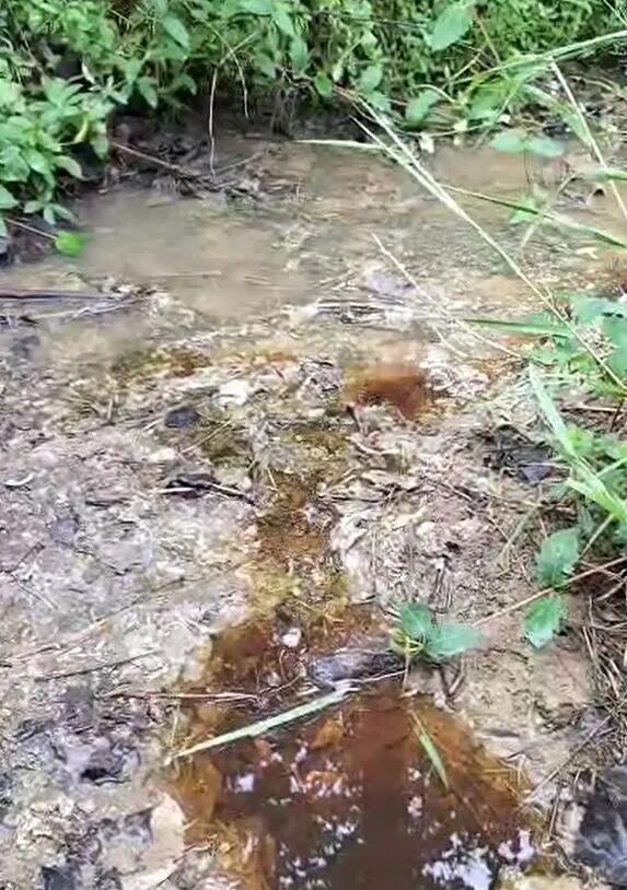 不足600人村庄62人患癌或白血病，村民：我老婆和儿媳都得了白血病 环境污染疑云笼罩