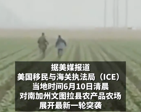 美國移民局突襲現(xiàn)場上演農(nóng)田追逐戰(zhàn) 農(nóng)場工人被捕引爭議