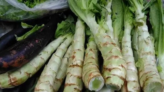 莴苣是莴笋吗？莴笋叶是油麦菜吗？区别挺大，别再弄错了，涨知识