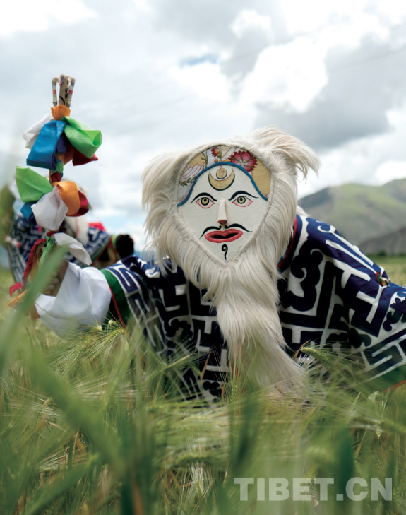 青瓦达孜千载月 犹照今人读故城——再读《吐蕃故里 西藏琼结》