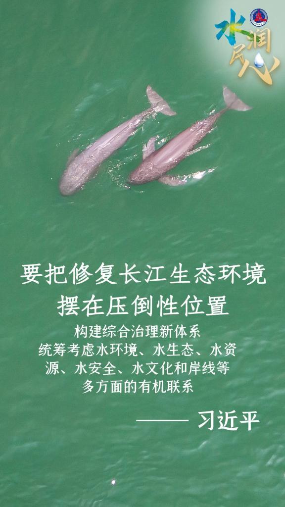 学习原声·金句回响 | 水润民心