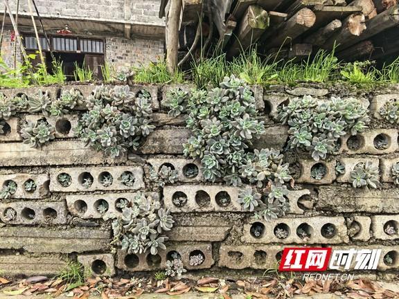 不忍心乡亲受灾 常德73岁老党员和儿子捐款2500元