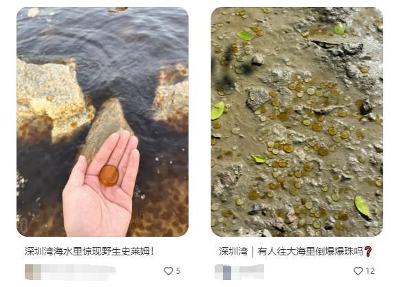 华南沿海多地现赤潮 海洋生态警报响起