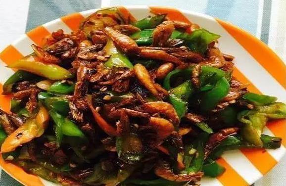 青椒炒干虾香到邻居敲门，啤酒焖鱼嫩滑无腥，3道菜全家抢着吃