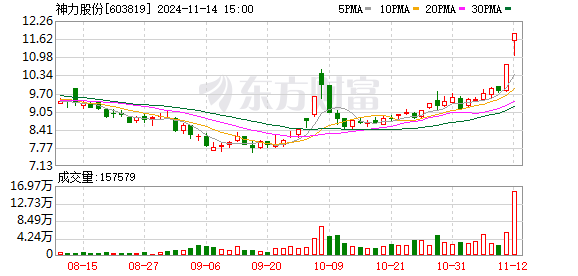 王雪或将成为神力股份的新实控人