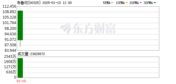 港股开年第一“热票”布鲁可上市首日涨超50% 能否成为下一个泡泡玛特？