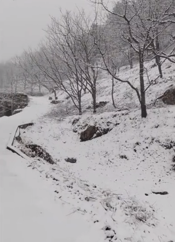 北京北部多地飄雪