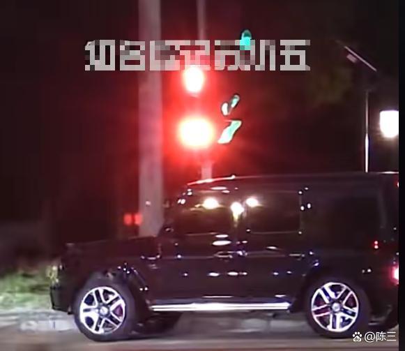 曝袁姗姗违规停车 遛狗温情难掩违章事实