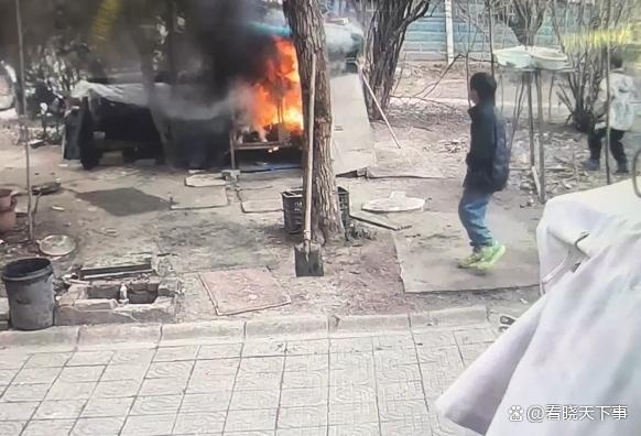 薩摩耶被兩娃燒死主人回應(yīng)質(zhì)疑 社區(qū)治理困境顯現(xiàn)