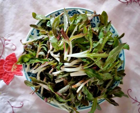 今日小滿：吃三樣,、忌三樣、避三樣