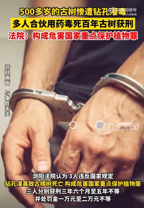 多人合伙毒死古樟树获刑