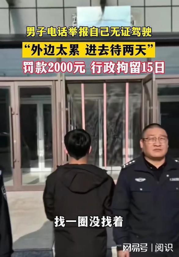 24岁男子因太累举报自己无证驾驶 压力大到想“强制休假”