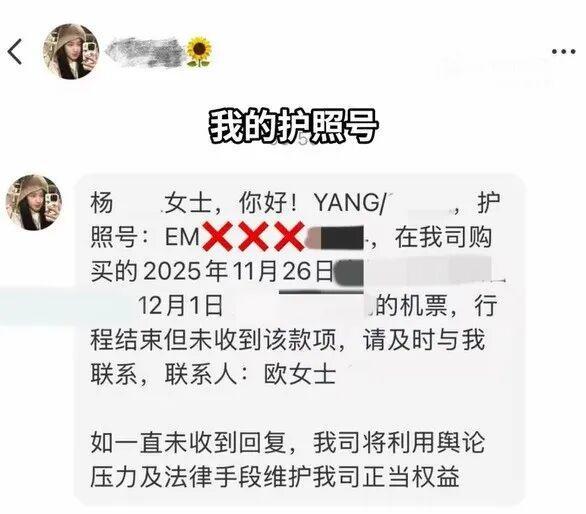 杨天真自曝信息遭泄露 警惕航司机票款骗局