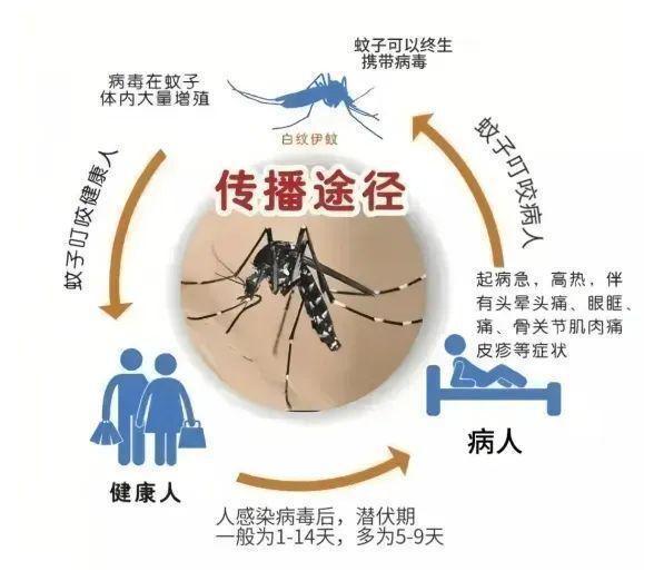登革热来袭！国内已出现多个病例，卫健委重要提醒 全民防蚊刻不容缓