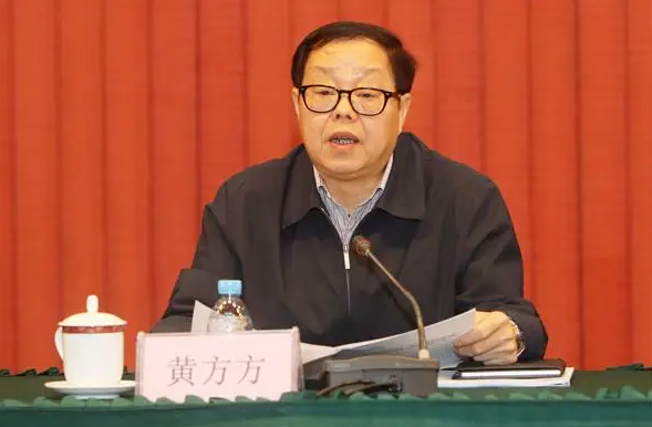 热衷批条子，习惯打招呼 广西黄方方被决定逮捕