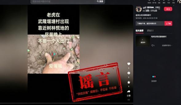 官方辟谣重庆武隆出现老虎