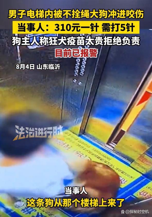 男子被狗咬伤狗主人嫌疫苗贵 不拴绳犬只惹祸