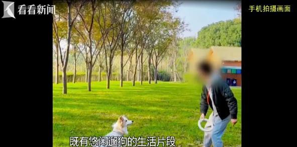 有前科男子再诈骗获超240万元 自导自演骗情骗财