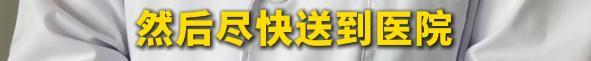 大叔采茶被竹叶青咬到肚子 夏日蛇伤频发警醒