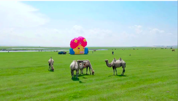 一场给牛、马、羊、飞鸟与鱼看的大地艺术展——其其格在呼伦贝尔大草原