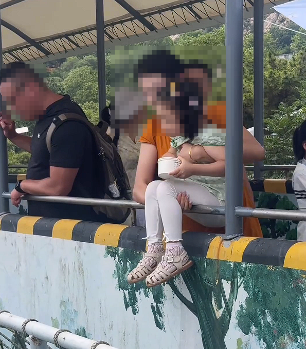 女子翻入围栏欺负小老虎