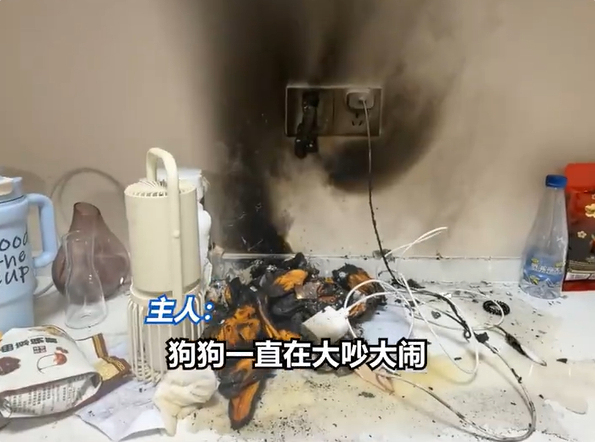 凌晨充电宝起火，狗狂吠，救了全家人。及时发