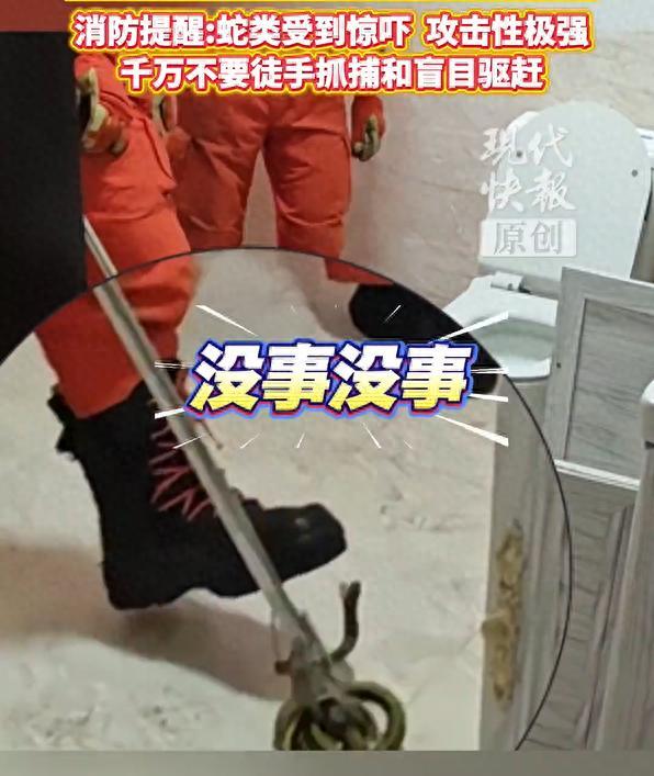 梳洗臺下發(fā)現(xiàn)蛇女子嚇得大哭 消防員及時(shí)救援